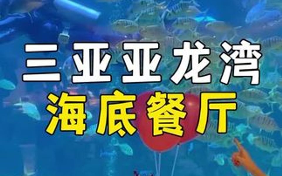 因为把客房建成了纯白色的希腊风,把餐厅建在了海底世界里,三亚亚龙湾迎宾馆一开业就成了很多女生的童话世界.哔哩哔哩bilibili