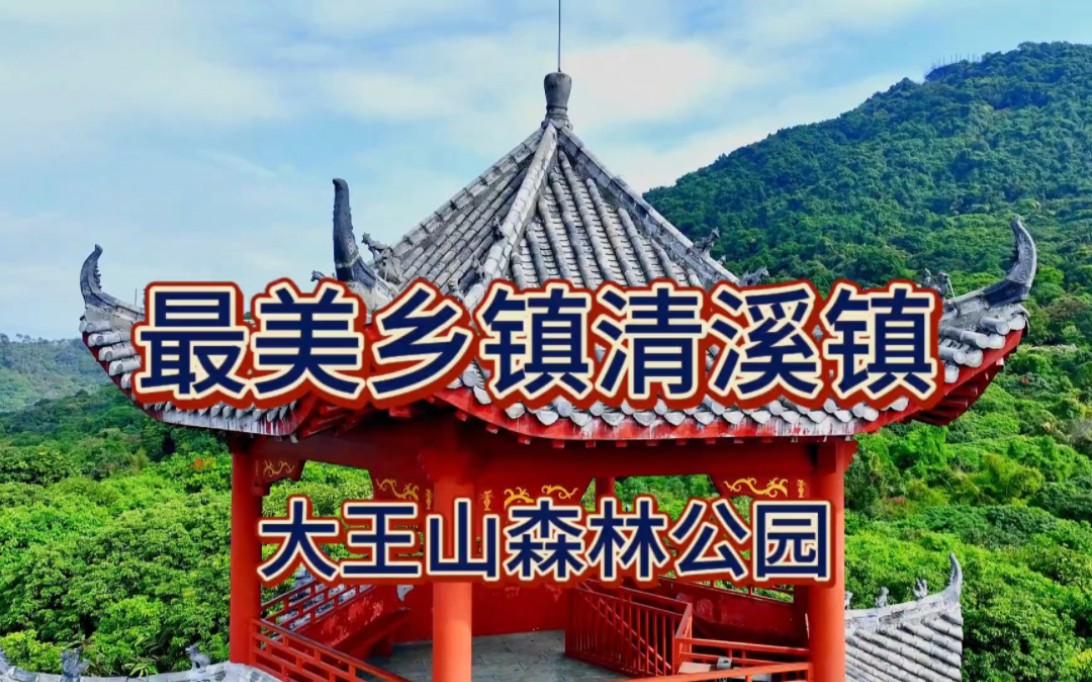 清溪大王山公园图片