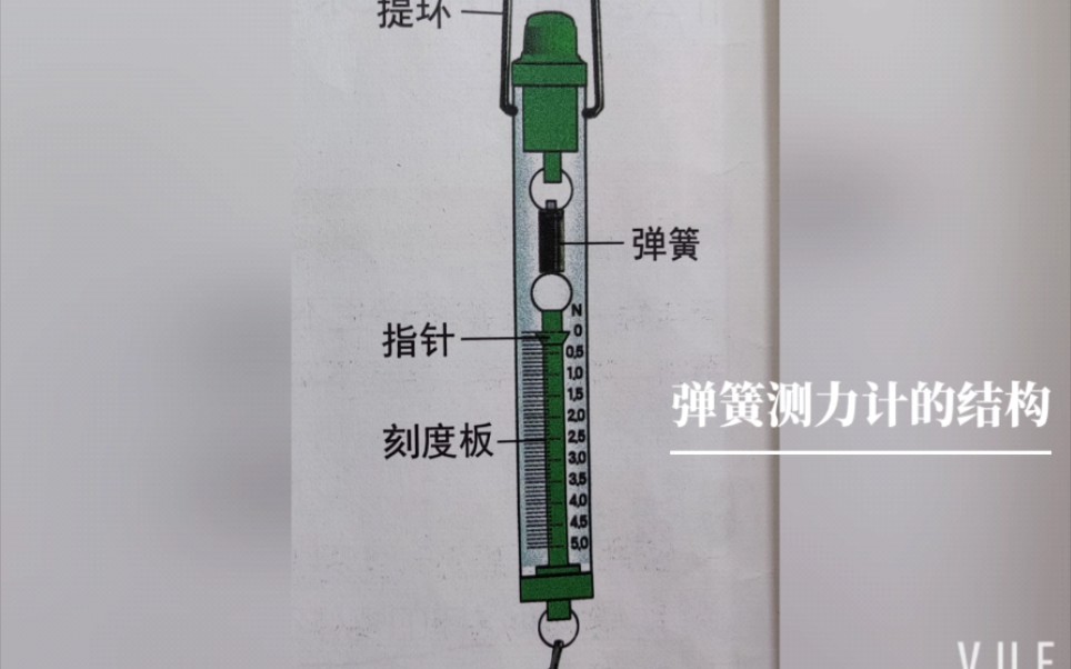 四上科学|弹簧测力计的介绍哔哩哔哩bilibili