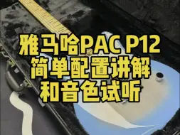 Tải video: 雅马哈PAC P12简单配置讲解和音色试听