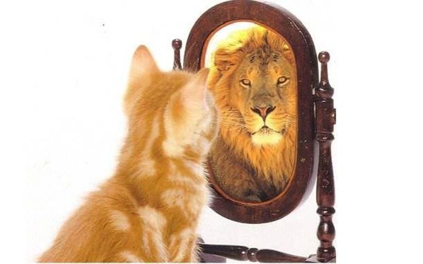 自我认知独立思考