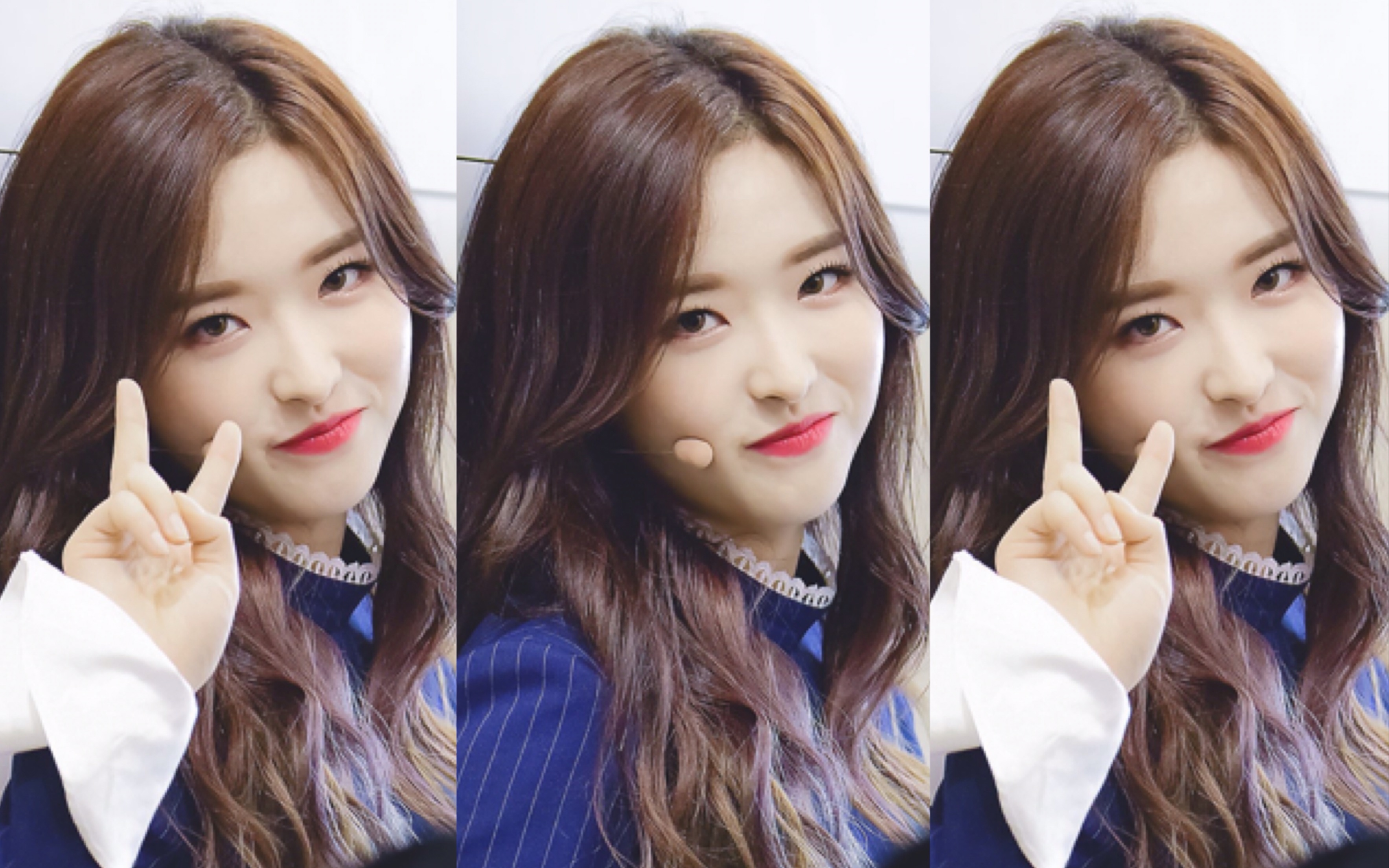 【本月少女/孙慧舟】有比神仙更可爱封面的butterfly直拍/190523