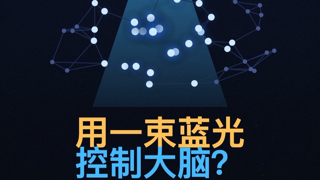 2026诺奖：用一束蓝光，控制大脑？