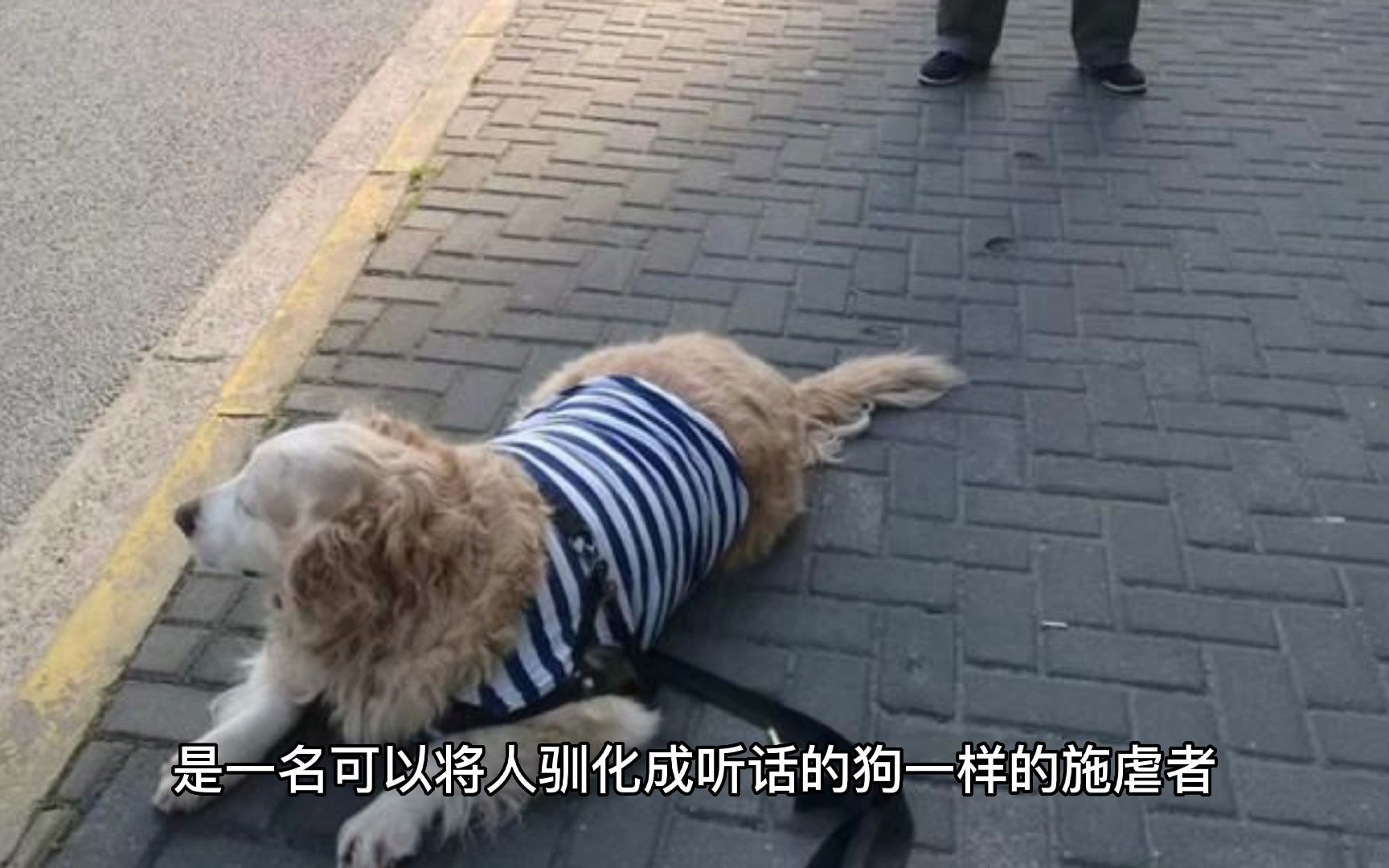 《训狗人》剧本杀复盘解析,测评