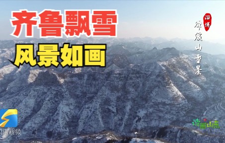 [图]【诗画山东】齐鲁飘雪 风景如画