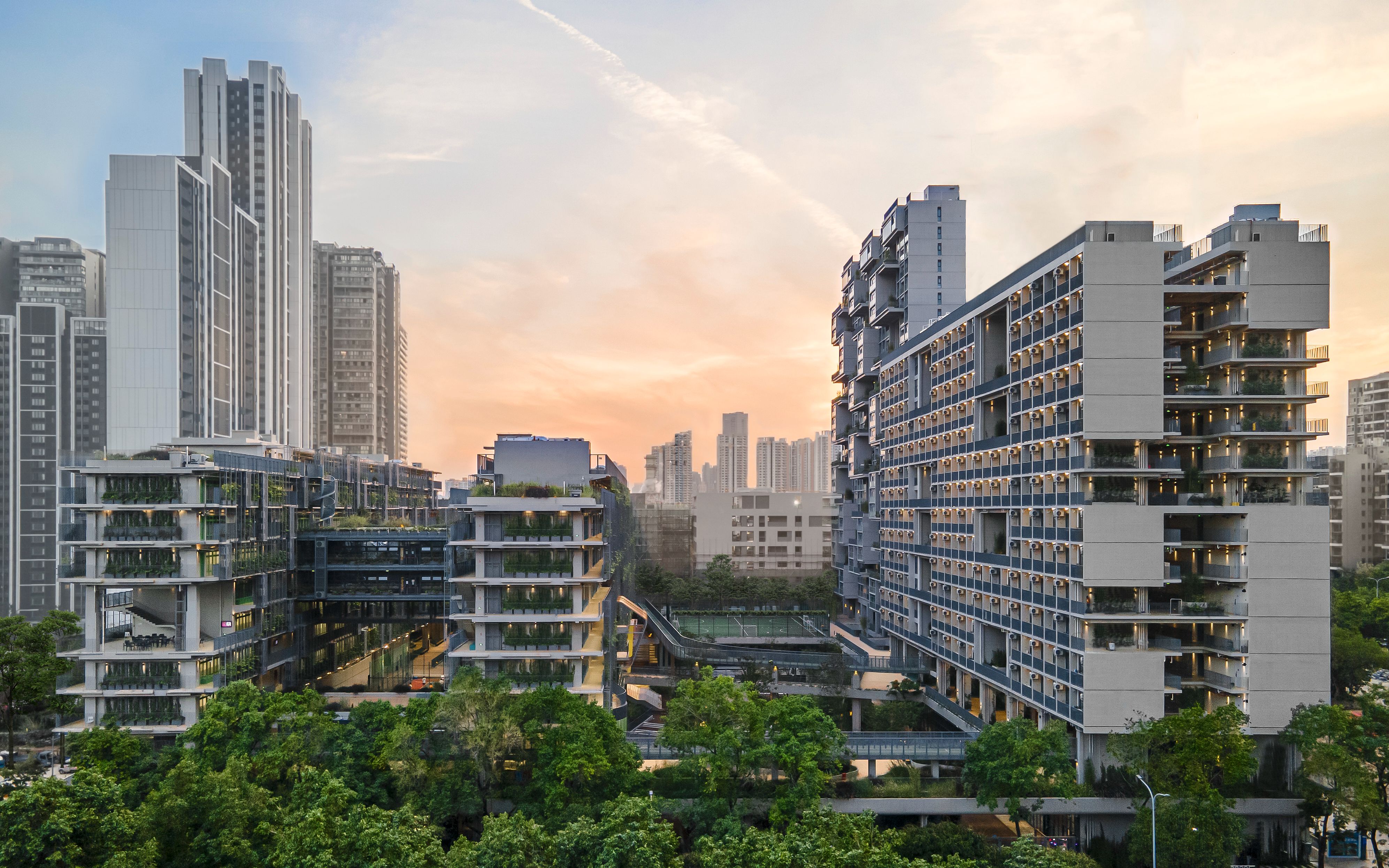 深圳国际交流学院 | SHENZHEN COLLEGE OF INTERNATIONAL EDUCATION哔哩哔哩bilibili