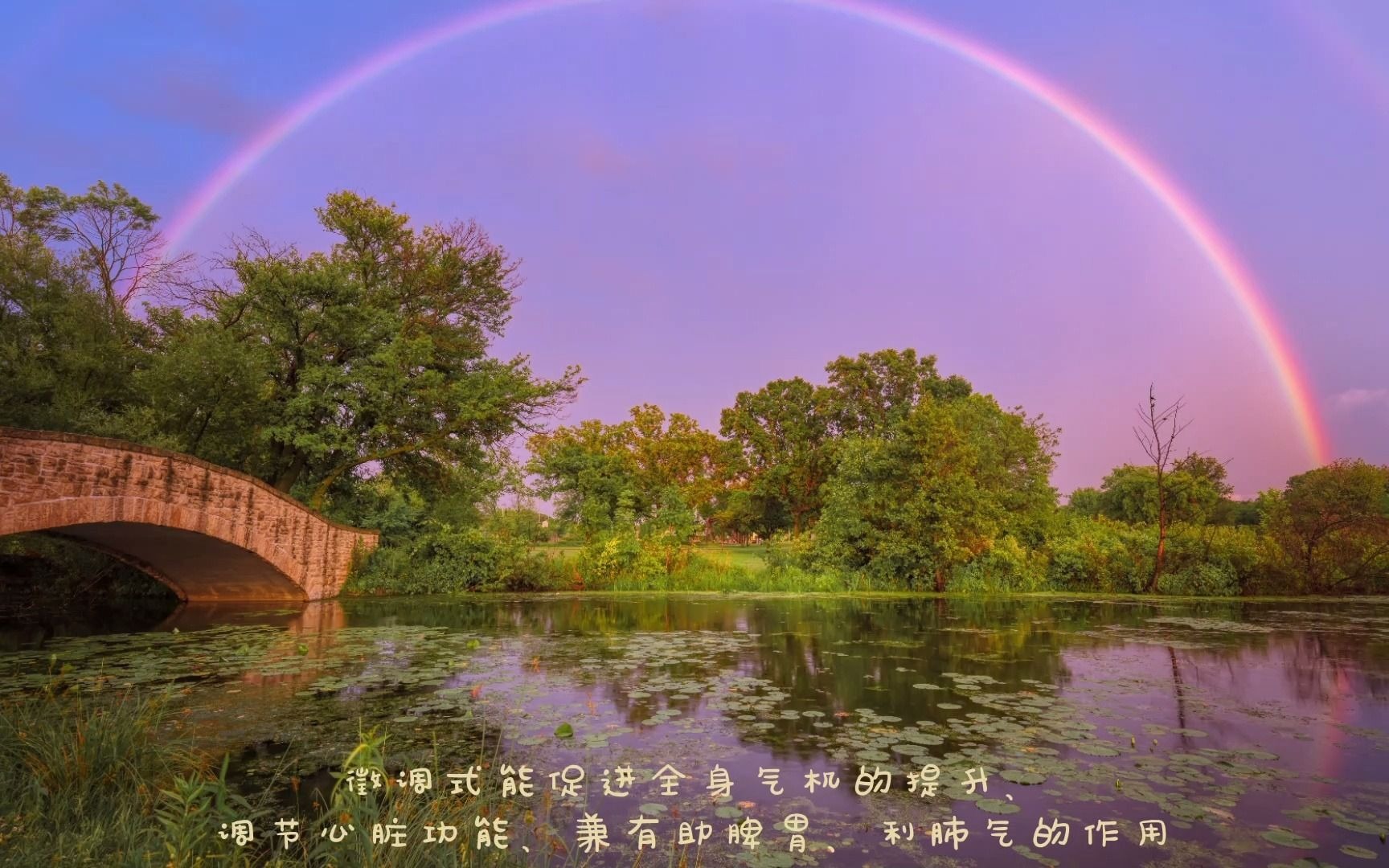 [图]五音疗法 雨后彩虹-徵调阴(心属火)