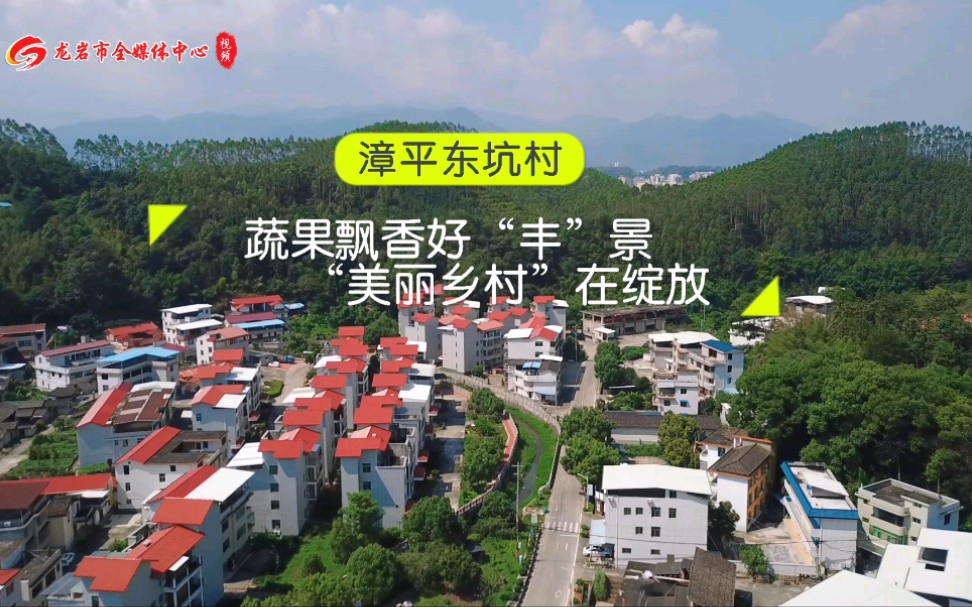 [图]百村支书话振兴｜漳平东坑村：蔬果飘香好“丰景” 美丽乡村在“绽放”！