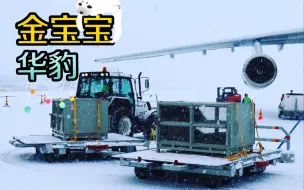 下载视频: 【大熊猫】金宝宝&华豹抵达芬兰接机回顾，大雪纷飞，铲雪车开道也是很有北国特色