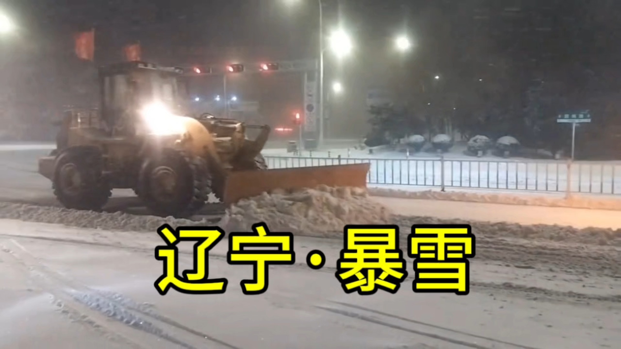 辽宁营口突降暴雪,当地政府:非必要不出门哔哩哔哩bilibili