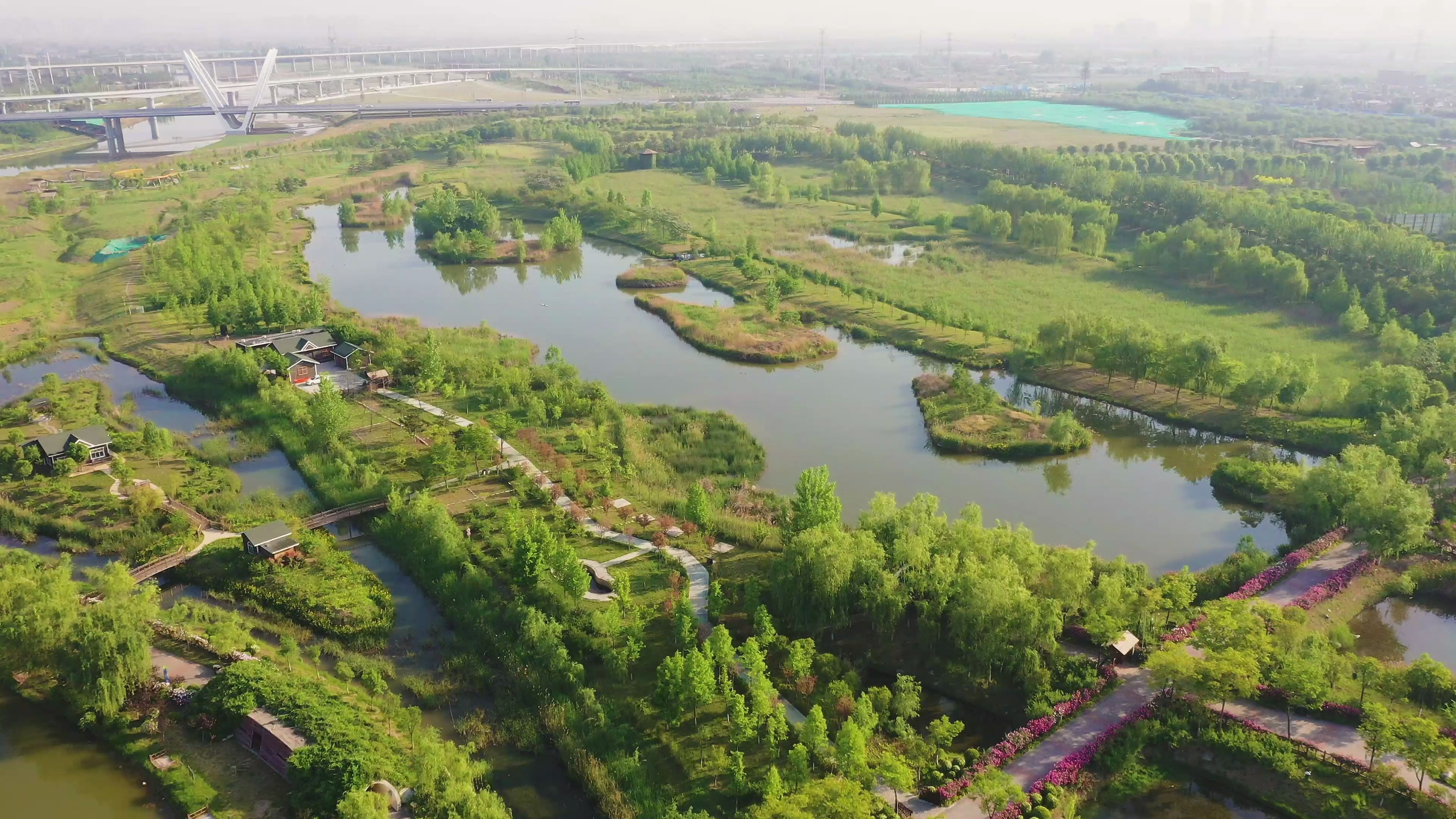 沣东生态湿地公园图片