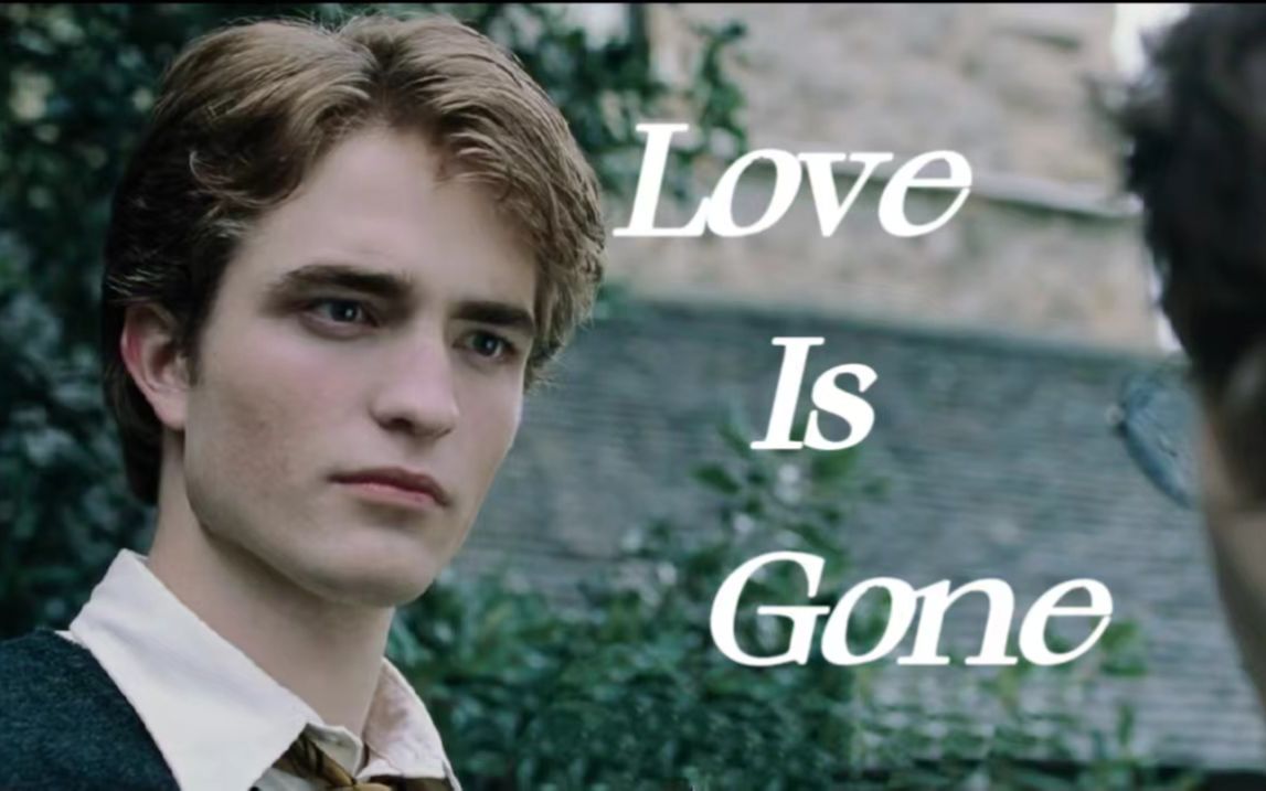 活动作品hp塞德里克他们最爱的那个男孩永远留在了18岁