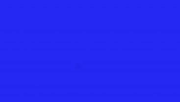 太狸将军x端木将军联合制裁蓝屏素材(可录屏)