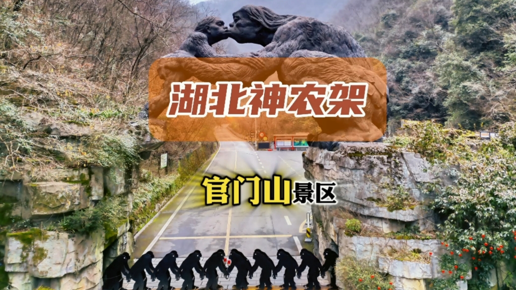 神农架里有奇景,半面青山挂木箱.这里是官门山景区!