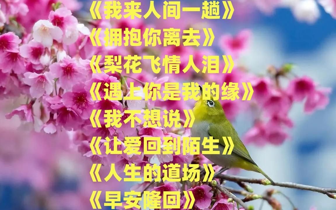 《我來人間一趟》《擁抱你離去》《梨花飛情人淚》《人生的道場》