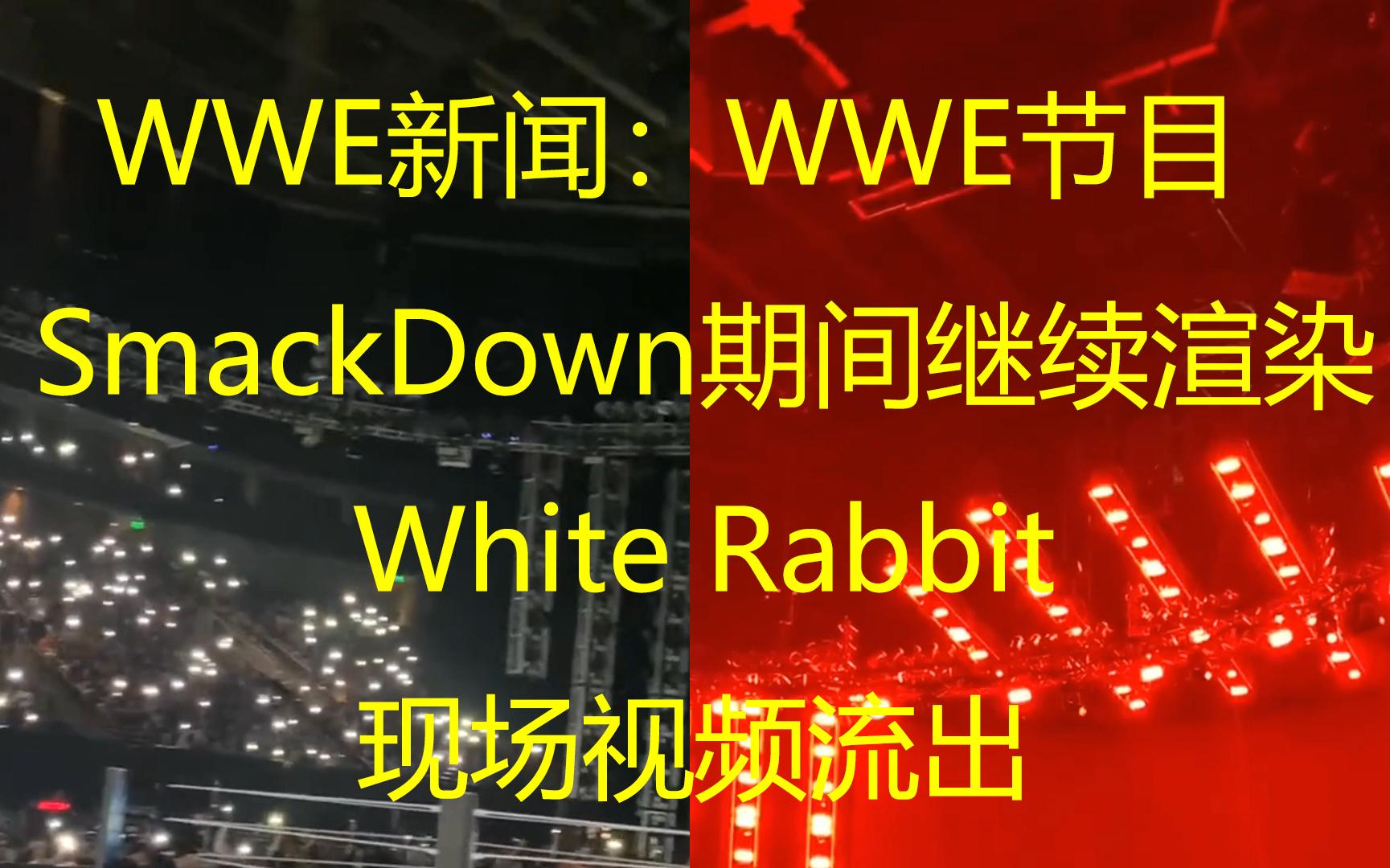 WWE新闻:SmackDown期间继续渲染White Rabbit哔哩哔哩bilibili