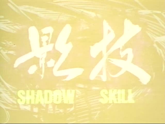 【480P】影技 SHADOW SKILL(OVA1) 生肉哔哩哔哩bilibili