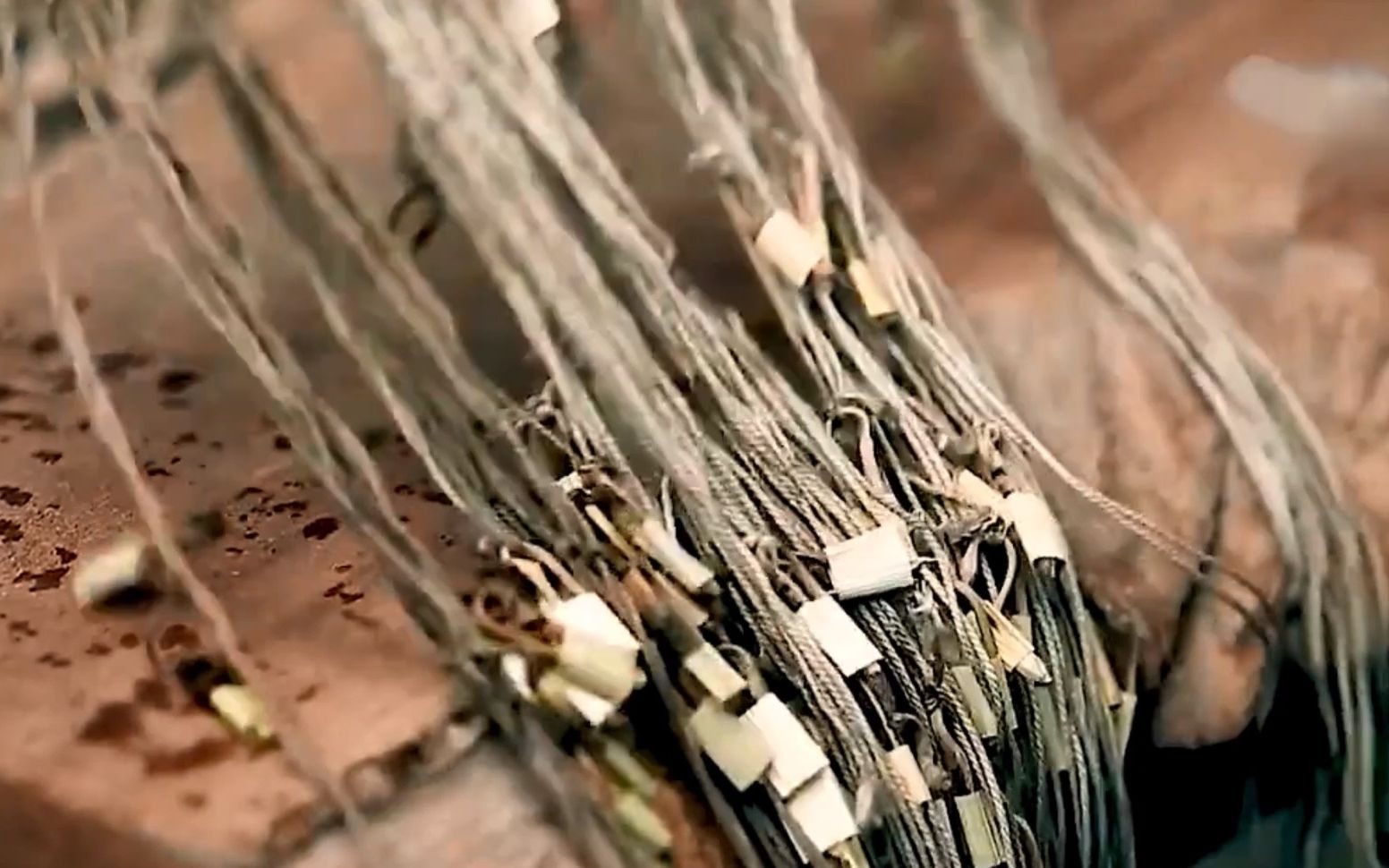 传统竹卡子钓鱼,没有鱼钩也可以钓上来鱼