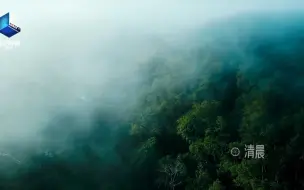 下载视频: 热带雨林的起床号什么样?