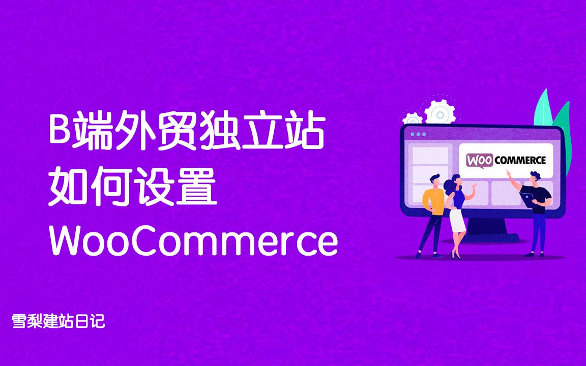 B端外贸独立站如何设置WooCommerce插件?哔哩哔哩bilibili