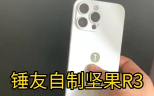 Télécharger la video: 锤友自制坚果R3