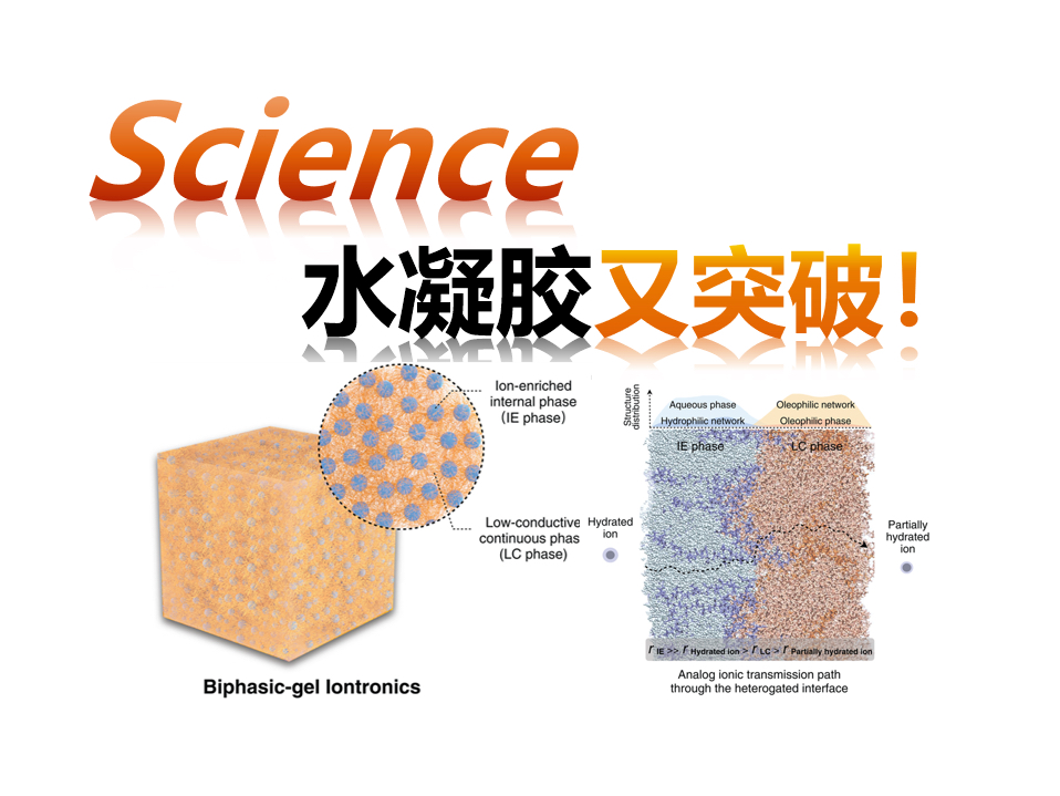 【Science】双相异质凝胶(蒙香江)241022哔哩哔哩bilibili