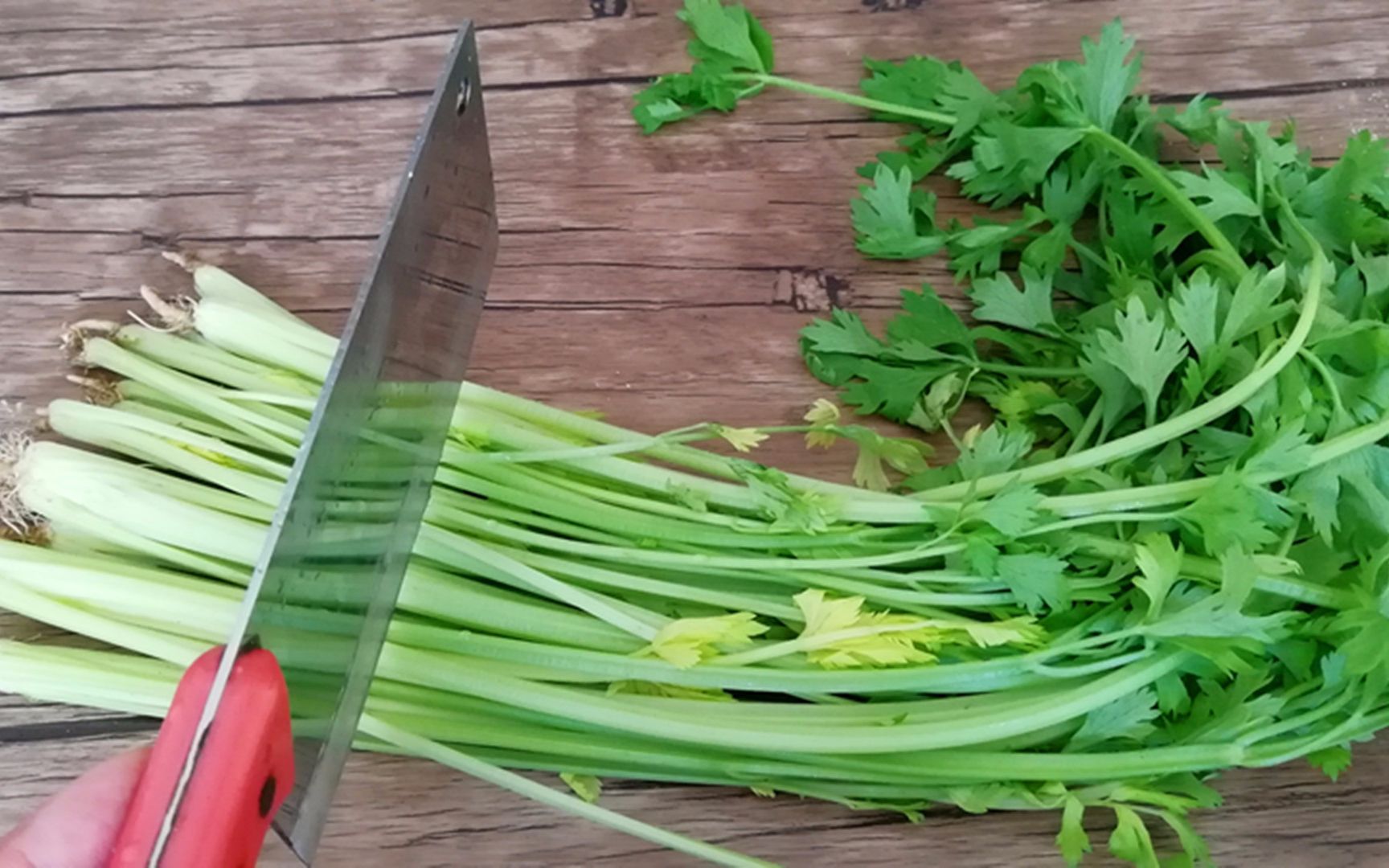 芹菜最好吃的做法,不炒不煮,一次做10斤,吃半年也不壞