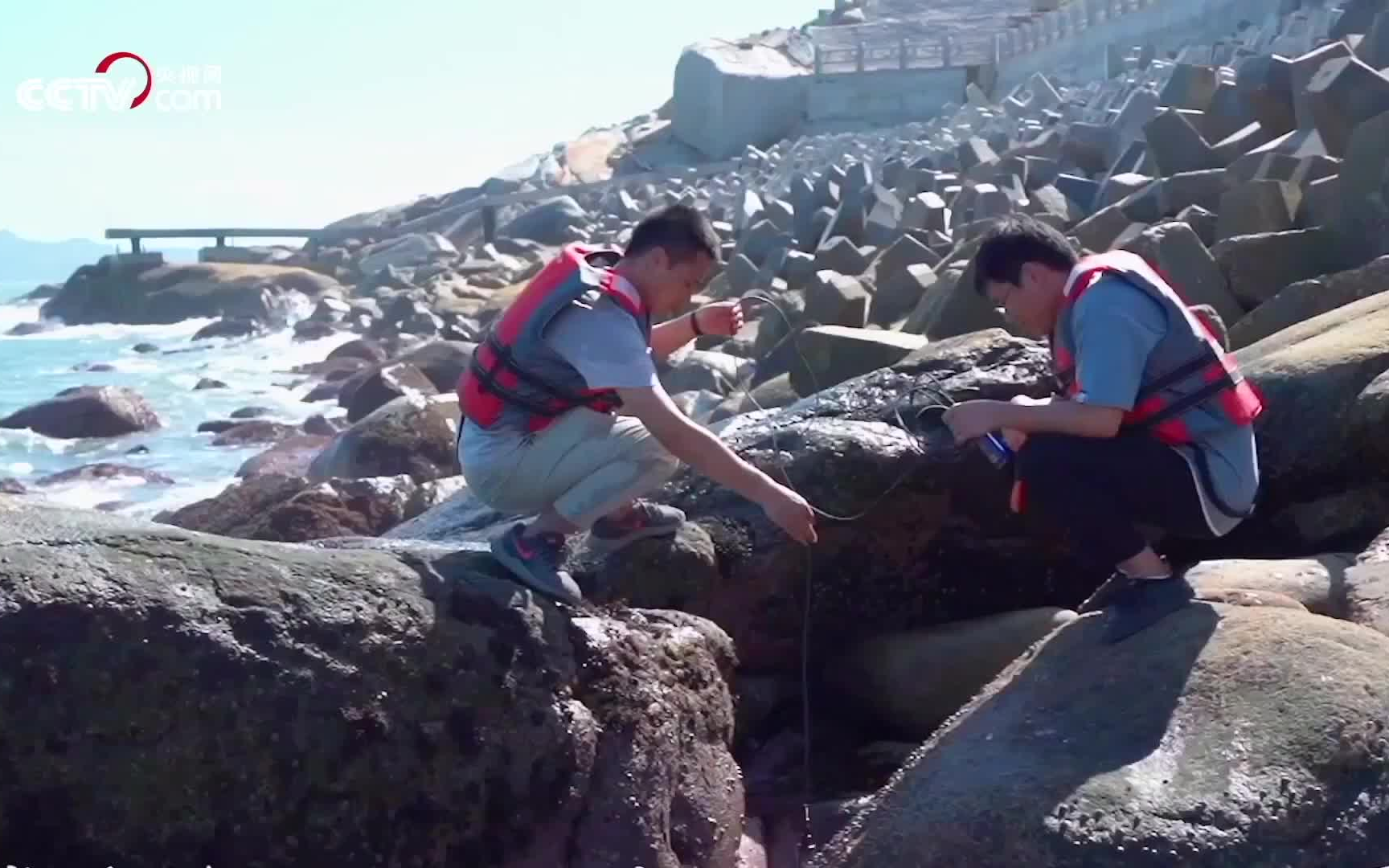 【纪录片】《蓝海中国》第3集 面朝大海 春暖花开!厦门这座海滨城市 满足了无数人对大海的向往哔哩哔哩bilibili