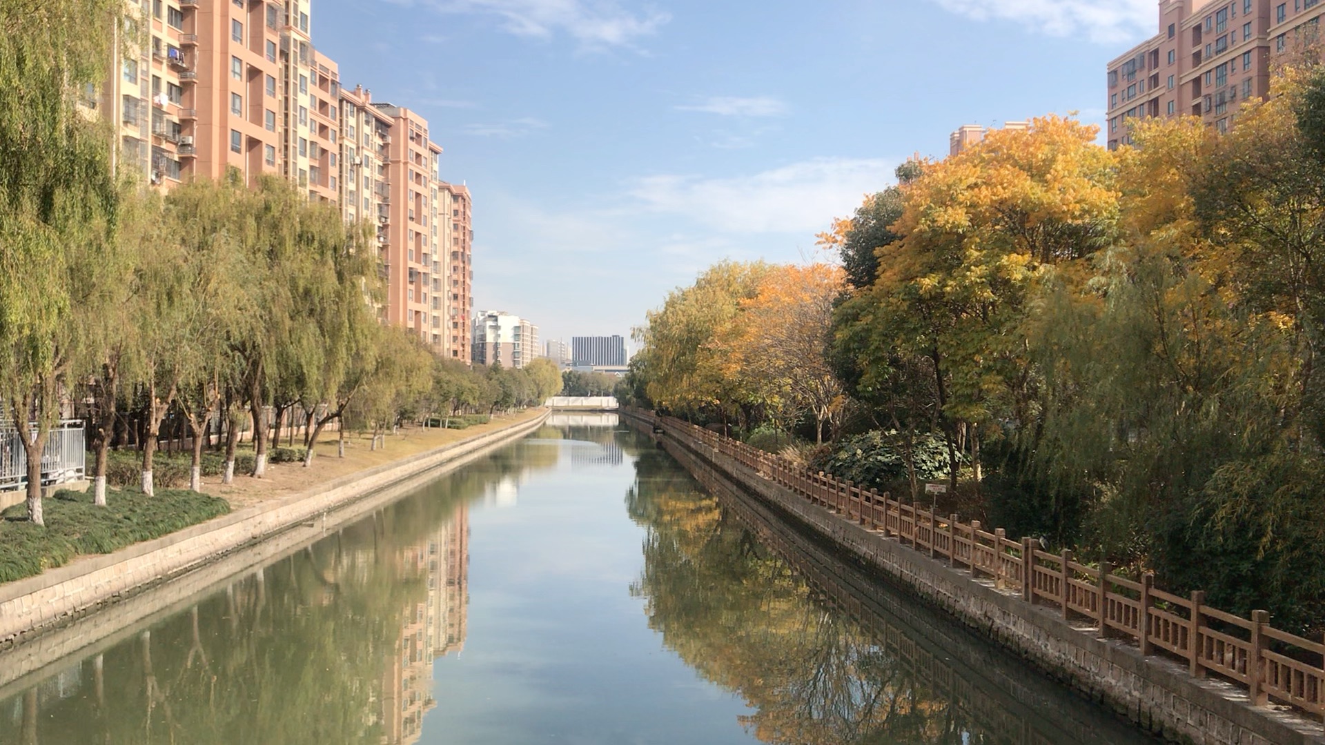 上海街景(拍摄于川沙新镇,华夏二路)