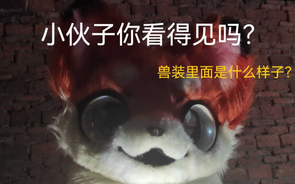 [fursuit兽装]小伙子你看得见吗?兽装的里面是什么样子哔哩哔哩bilibili