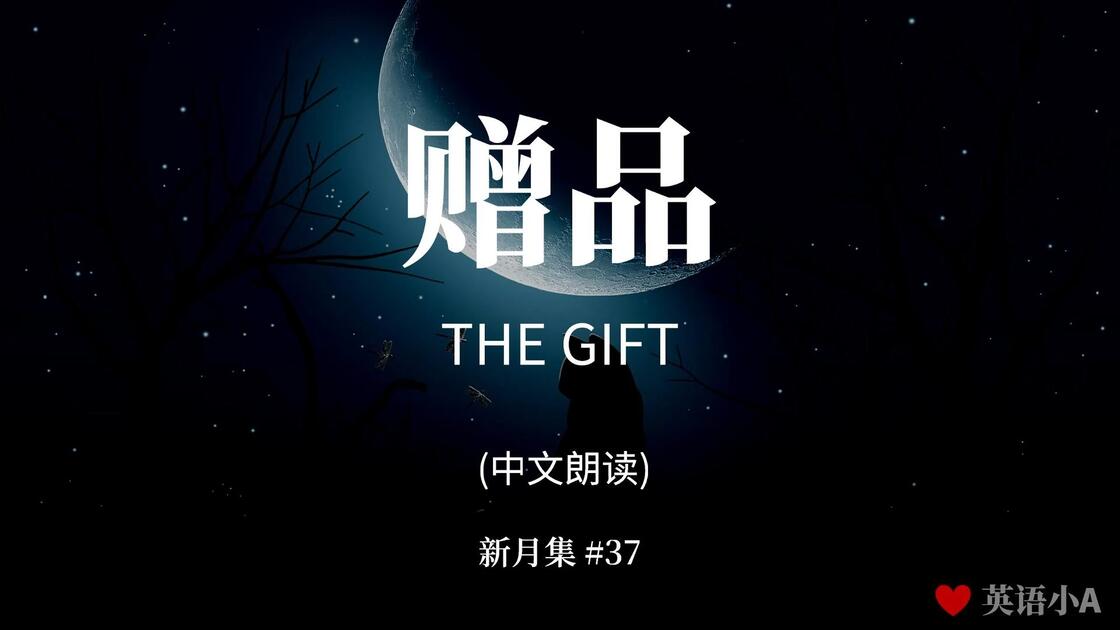 37 赠品 (中)_哔哩哔哩_bilibili
