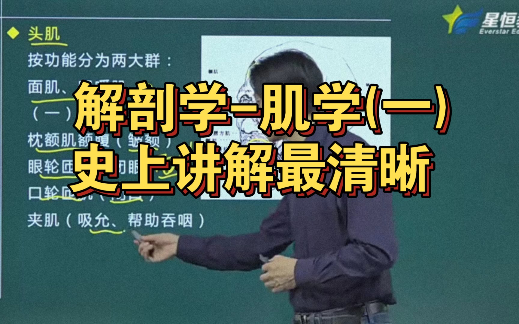 [图]解剖学-肌学(一)   史上讲解最清晰解剖学