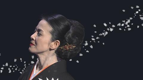 坂本冬美歌曲合集 持续更新中 哔哩哔哩 つロ干杯 Bilibili