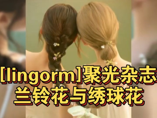 [lingorm]聚光杂志lingorm兰铃花与绣球花哔哩哔哩bilibili