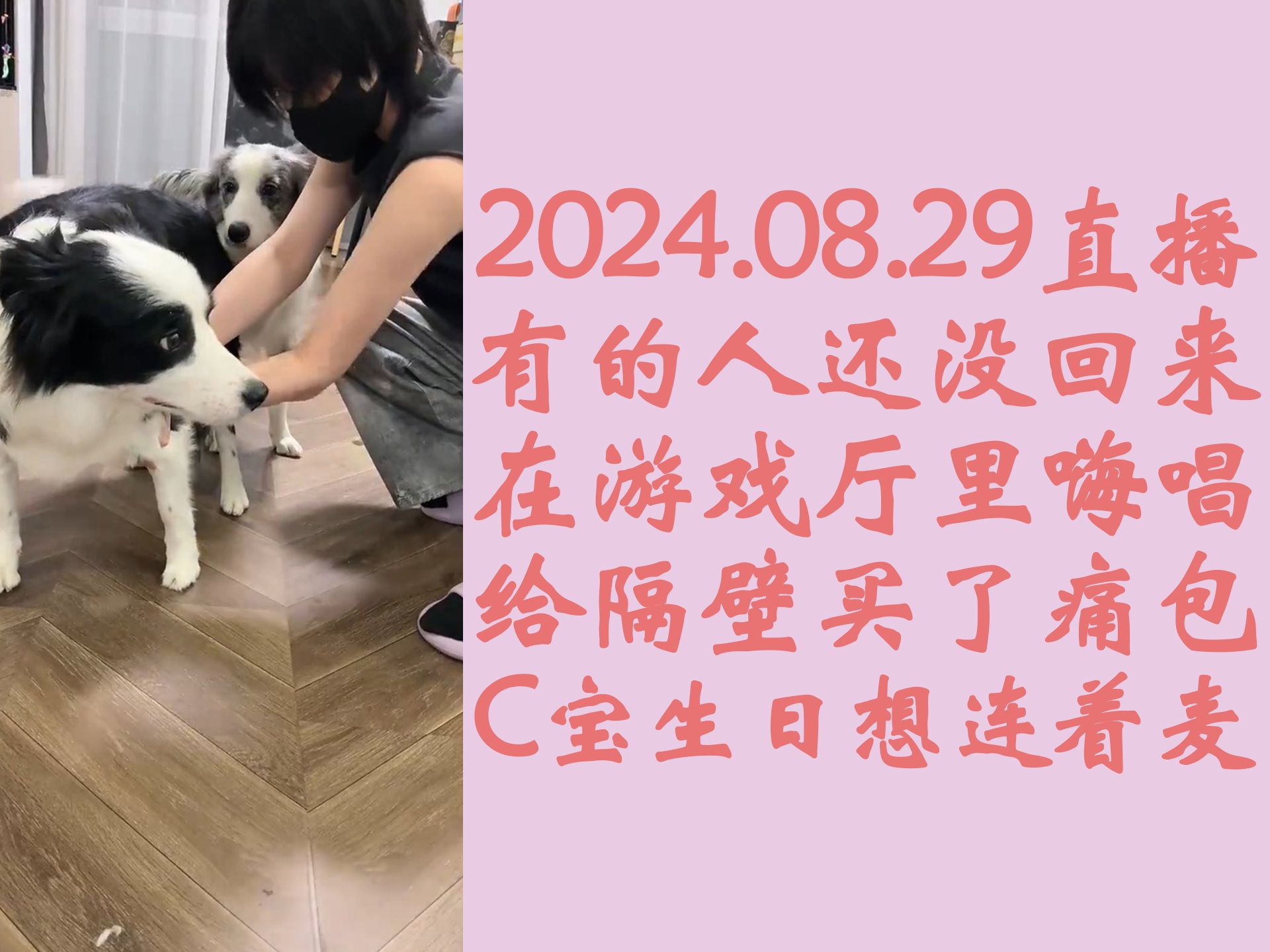 【奉天承芸】有的人还没回来&给隔壁买了痛包&C宝生日想连着麦‖20240829天草直播芸姐相关cut哔哩哔哩bilibili