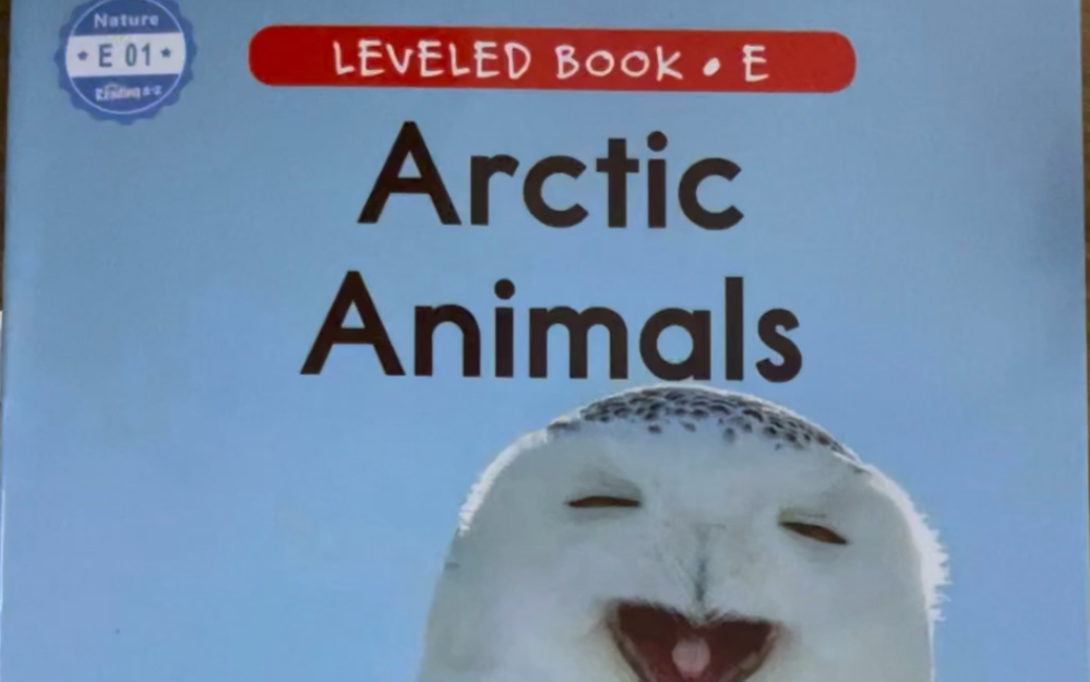 少儿英语RAZ分级阅读E01 Arctic Animals 北极的动物 【开始E,新的篇章】哔哩哔哩bilibili