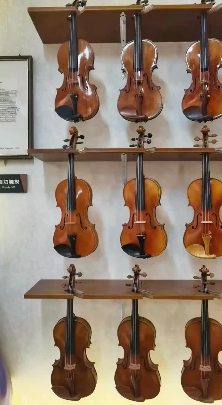 小提琴提琴制作哪一把琴会因为你而苏醒呢亚特兰蒂斯的秘密万事万