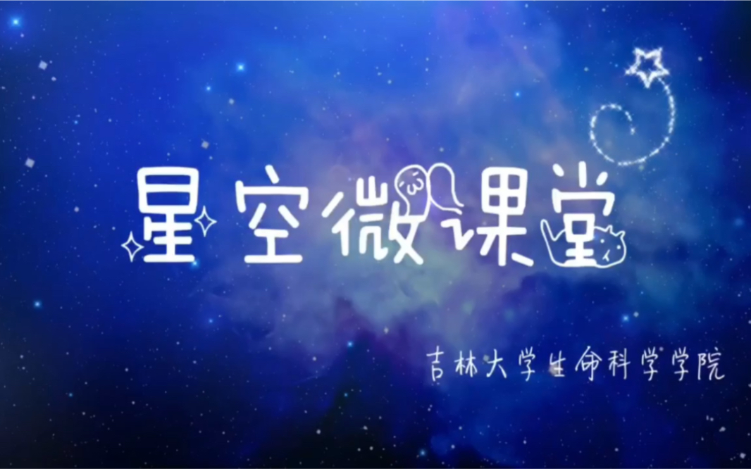 星空微课堂生物化学 | 酶活性的别构调节哔哩哔哩bilibili