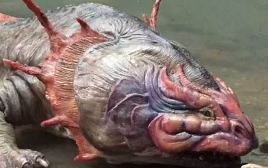 远古霸王蝾螈竟真实存在!恐龙都曾是它们口中的可怜虫