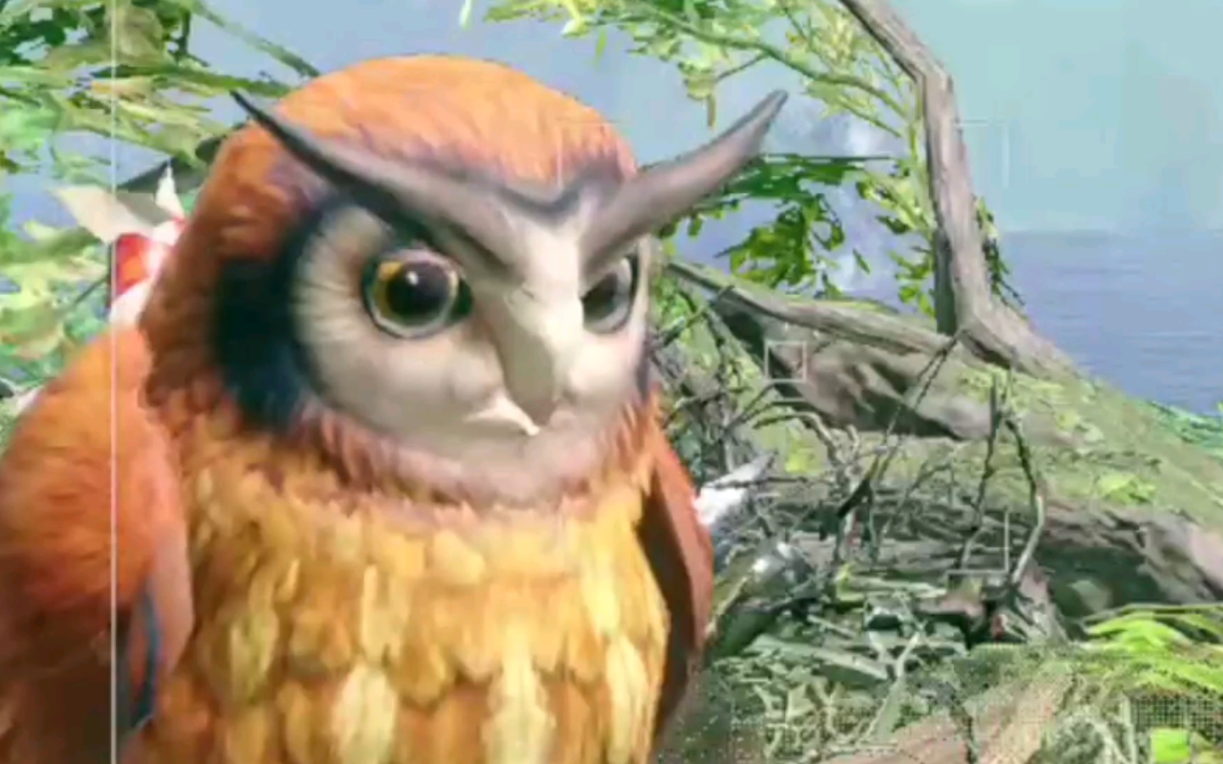 活动作品偷偷打瞌睡福木兔