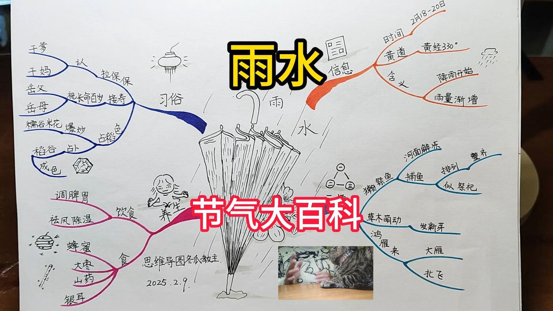 《雨水》 思维导图