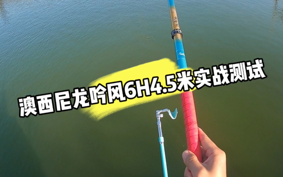 澳西尼龙吟风6h4.