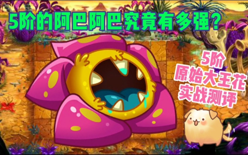 植物大战僵尸2:5阶原始大王花实测哔哩哔哩bilibili