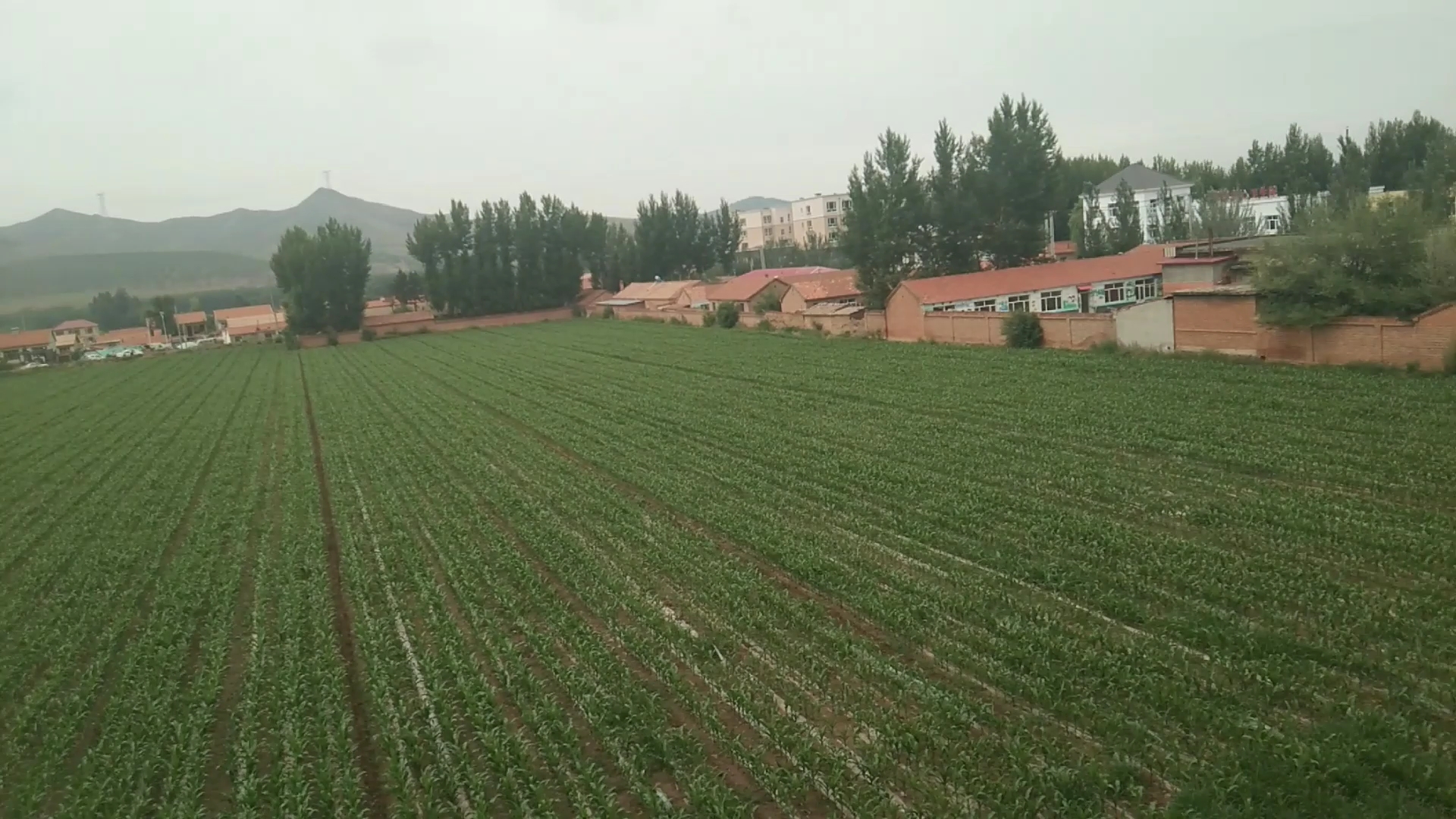 手机拍摄好大的一片耕地