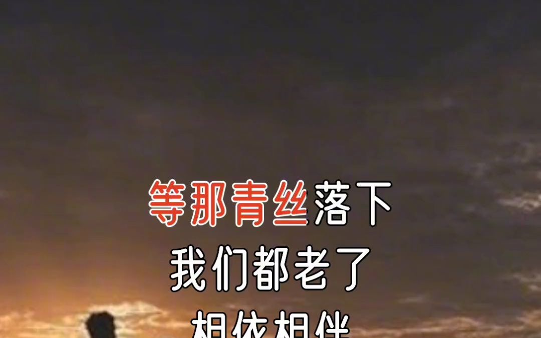 等那青絲落下,我們都老了,相依相伴一起去看,夕陽染紅霞