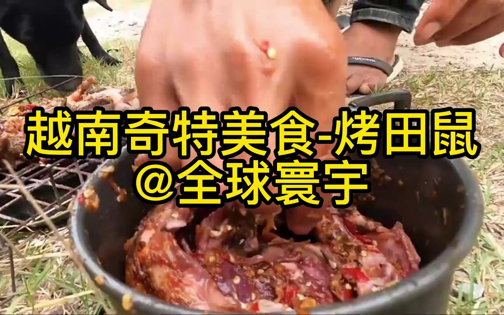 不仅挑战你视觉 更挑战你的味蕾 奇特美食大搜罗 越南烧烤田鼠