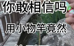 用小物竿竟然钓到了…