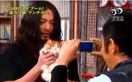 99 勇者与猫 山田孝之 综艺 生肉 哔哩哔哩