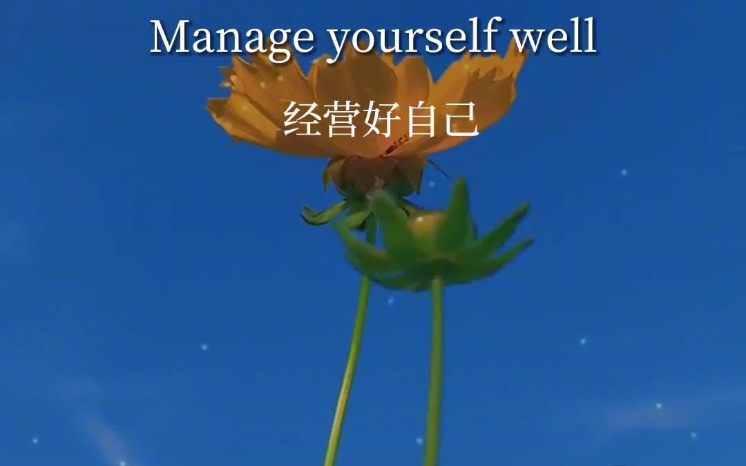 你只管努力美好的一切都会悄然而至的英语英语口语英语学习英语美文