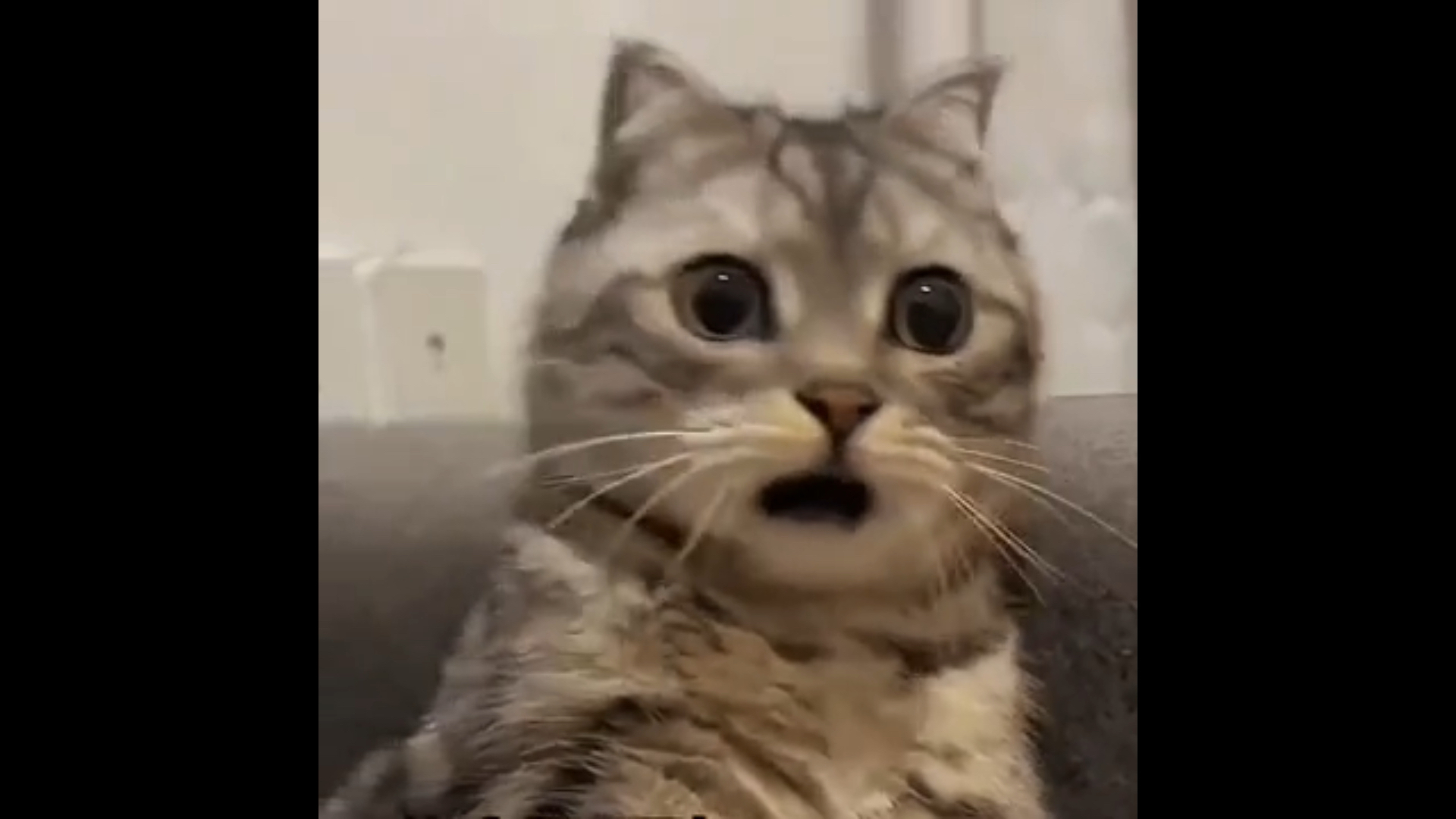 七日世界玩家瑟瑟发抖中